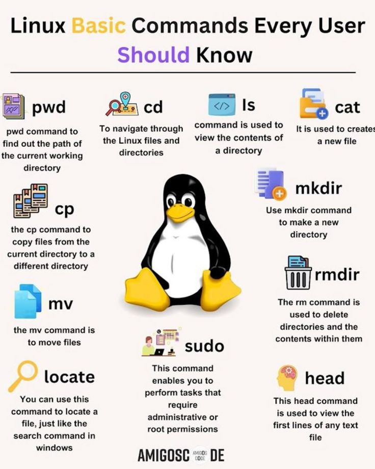 Linux cmd